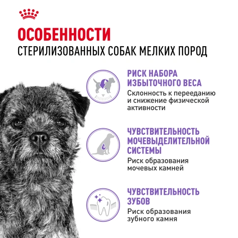 Сухой корм Royal Canin Mini Sterilised для стерилизованных собак, 3 кг фото 2