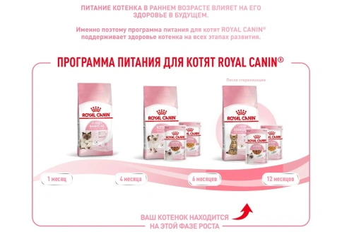 Сухой корм Royal Canin Kitten Sterilised для котят, 3,5 кг фото 17
