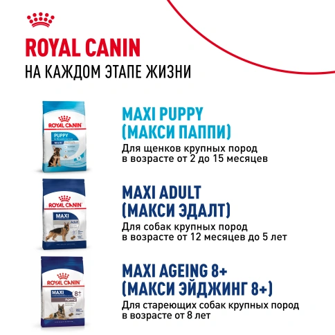 Сухой корм Royal Canin Maxi Starter Mother & Babydog для собак, 4 кг фото 16