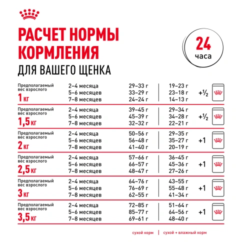 Сухой корм Royal Canin Chihuahua Puppy для щенков породы чихуахуа, 500 г фото 9