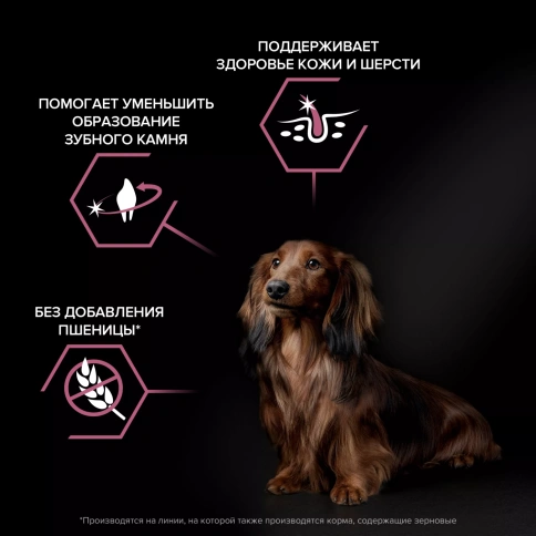 Сухой корм PRO PLAN Salmon для взрослых собак мелких и карликовых пород с чувствительной кожей, с высоким содержанием лосося, 700 г фото 3