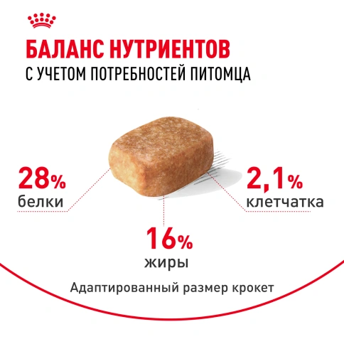 Сухой корм Royal Canin Chihuahua Adult для собак породы чихуахуа, 1,5 кг фото 4