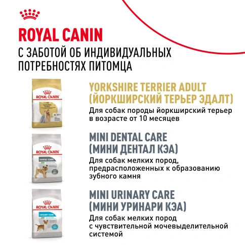 Сухой корм Royal Canin Yorkshire Terrier Adult для взрослых собак, 1,5 кг фото 11