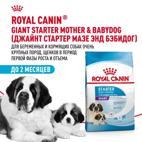 Сухой корм Royal Canin Giant Starter Mother & Babydog для щенков и собак, 15 кг фото 12
