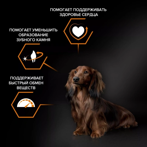 Сухой корм PRO PLAN Chicken для взрослых собак мелких и карликовых пород, с высоким содержанием курицы, 7 кг фото 2