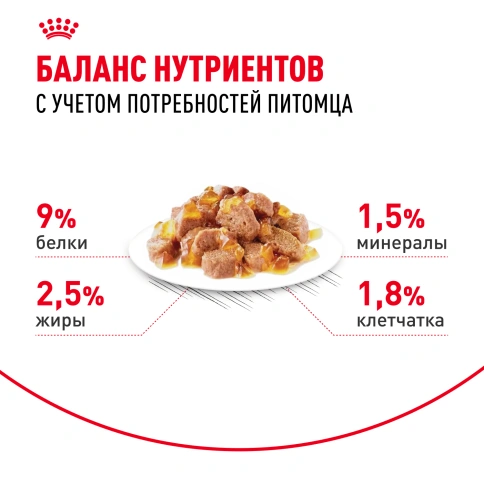 Влажный корм Royal Canin Sterilised в желе для стерилизованных кошек старше 1 года, пауч, 85 г фото 12