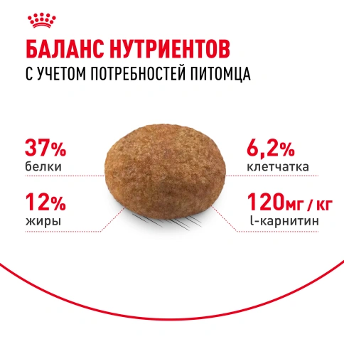 Сухой корм Royal Canin Sterilised для кастрированных котов и стерилизованных кошек, 1,2 кг фото 4