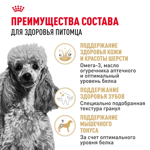 Сухой корм Royal Canin Poodle Adult для взрослых собак, 1,5 кг фото 2