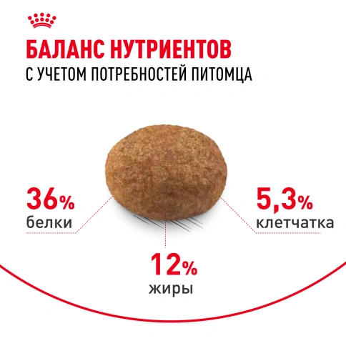 Сухой корм Royal Canin Sterilised 7+ для стерилизованных кошек и кастрированных котов, 1.5 кг фото 4