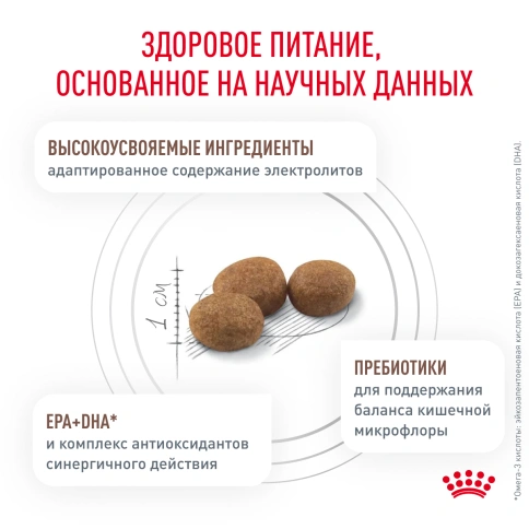 Сухой корм Royal Canin Gastrointestinal Hairball для кошек, 350 г фото 4