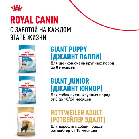Сухой корм Royal Canin Giant Adult для собак, 15 кг фото 9