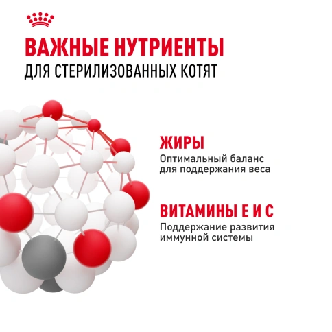 Влажный корм Royal Canin Kitten Sterilised в соусе для стерилизованных котят до 12 месяцев, пауч, 85 г фото 5