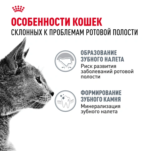 Сухой корм Royal Canin Dental Care для кошек, 400 г фото 2