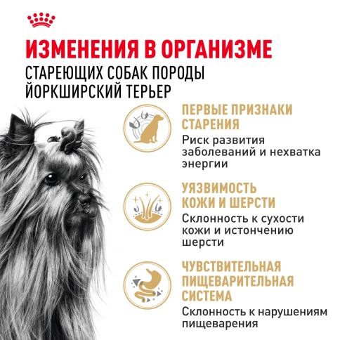 Сухой корм Royal Canin Yorkshire Terrier Adult 8+ для собак породы йоркширский терьер, 1,5 кг фото 3