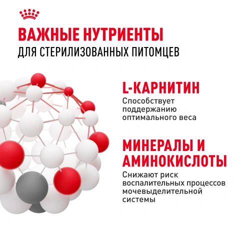 Сухой корм Royal Canin Sterilised для кастрированных котов и стерилизованных кошек, 2 кг фото 5