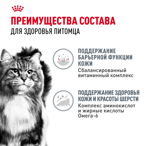 Влажный корм Royal Canin Hair & Skin Care в желе для взрослых кошек старше 1 года, пауч, 85 г фото 3