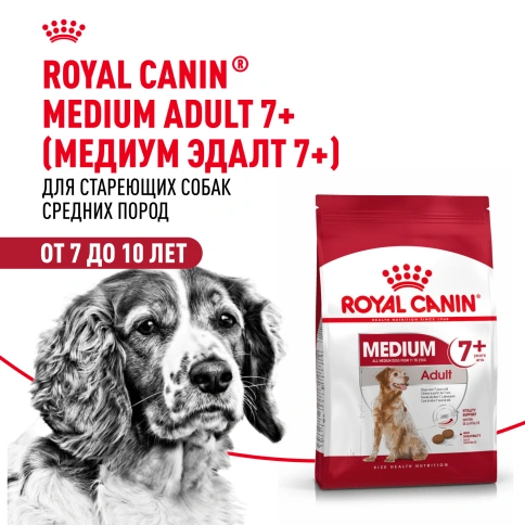 Сухой корм Royal Canin Medium Adult 7+ для собак, 4 кг фото 12