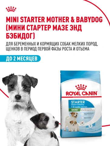 Сухой корм Royal Canin Mini Starter Mother & Babydog для щенков и кормящих сук, 8,5 кг фото 13