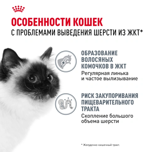 Сухой корм Royal Canin Hairball Care для кошек, 10 кг фото 2