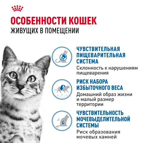 Влажный корм Royal Canin Indoor в соусе для кошек, живущих в помещении, пауч, 85 г фото 2