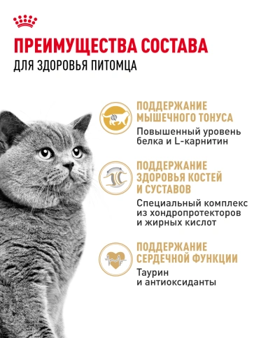 Сухой корм Royal Canin British Shorthair для кошек породы британская короткошерстная, 4 кг фото 29
