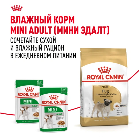 Сухой корм Royal Canin Pug Adult для взрослых собак, 1,5 кг фото 5