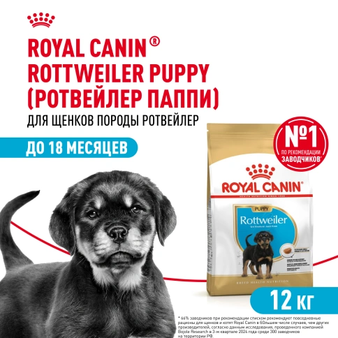 Сухой корм Royal Canin Rottweiler Puppy для щенков, 12 кг фото 1