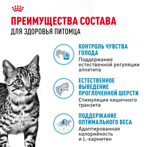 Сухой корм Royal Canin Indoor Appetite Control для кошек, 2 кг фото 3