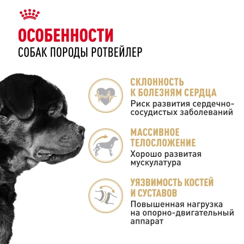 Сухой корм Royal Canin Rottweiler Adult для взрослых собак, 12 кг фото 2