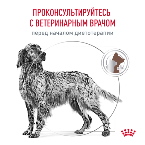 Сухой корм Royal Canin Hepatiс для собак, 1,5 кг фото 7