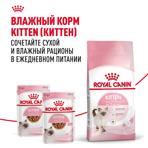 Сухой корм Royal Canin Kitten для котят, 4 кг фото 8