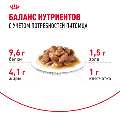 Влажный корм Royal Canin Ageing 12+ в соусе для стареющих кошек старше 12 лет, пауч, 85 г фото 4