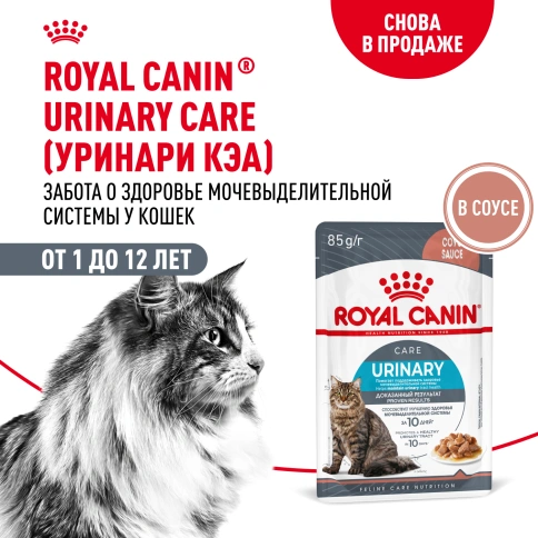 Влажный корм Royal Canin Urinary Care в соусе для кошек для поддержания здоровья мочевыделительной системы, пауч, 85 г фото 15