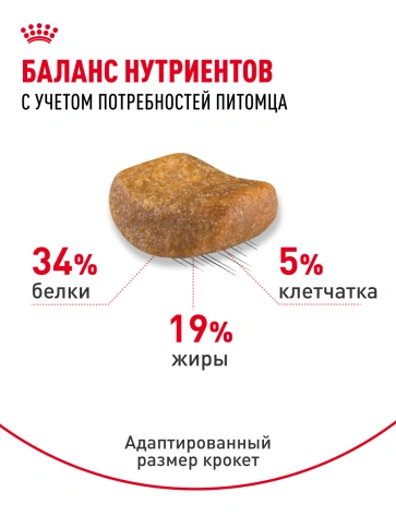 Сухой корм Royal Canin British Shorthair для кошек породы британская короткошерстная, 2 кг фото 22
