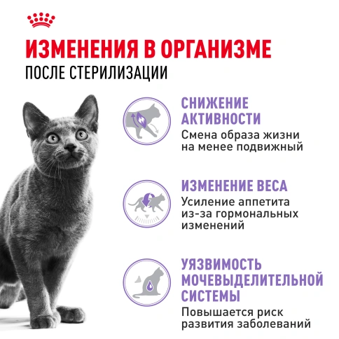 Сухой корм Royal Canin Sterilised для кастрированных котов и стерилизованных кошек, 1,2 кг фото 2