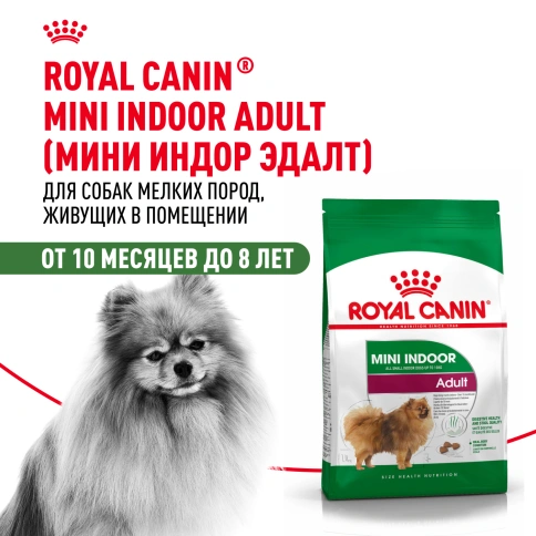 Сухой корм Royal Canin Mini Indoor Adult для собак, 3 кг фото 14