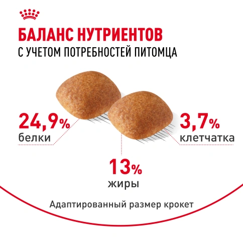 Сухой корм Royal Canin Golden Retriever Adult для собак, 3 кг фото 4