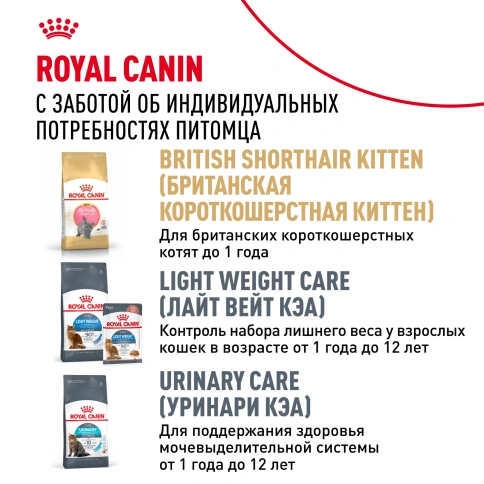 Влажный корм Royal Canin British Shorthair в соусе для кошек породы британская короткошерстная и шотландская вислоухая старше 1 года, пауч, 85 г фото 10