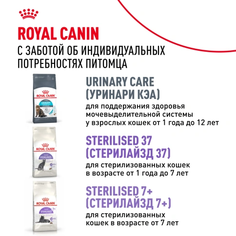 Сухой корм Royal Canin Ageing Sterilised 12+ для стерилизованных кошек старше 12 лет, 2 кг фото 9