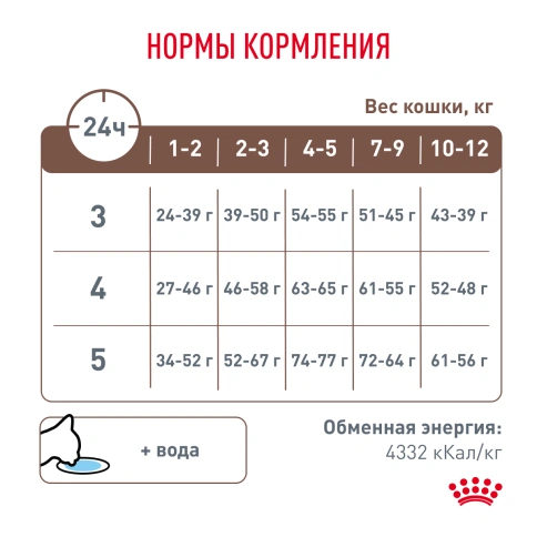 Сухой корм Royal Canin Gastrointestinal Kitten для котят, 1 кг фото 6