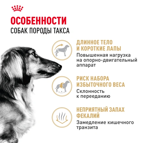 Сухой корм Royal Canin Dachshund Adult для собак породы такса, 7,5 кг фото 2