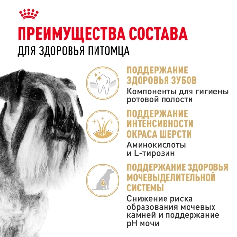 Сухой корм Royal Canin Miniature Schnauzer Adult для собак породы миниатюрный шнауцер, 3 кг фото 3