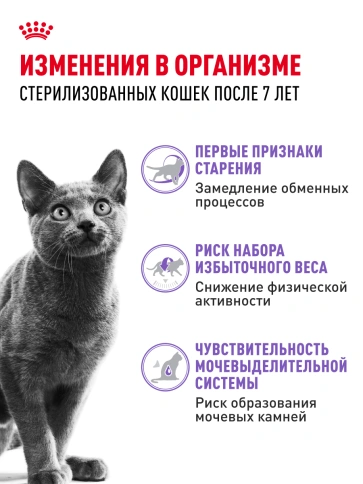 Сухой корм Royal Canin Sterilised 7+ для стерилизованных кошек и кастрированных котов, 400 г фото 15