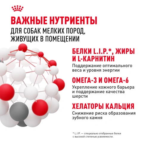 Сухой корм Royal Canin Mini Indoor Adult для собак, 3 кг фото 6