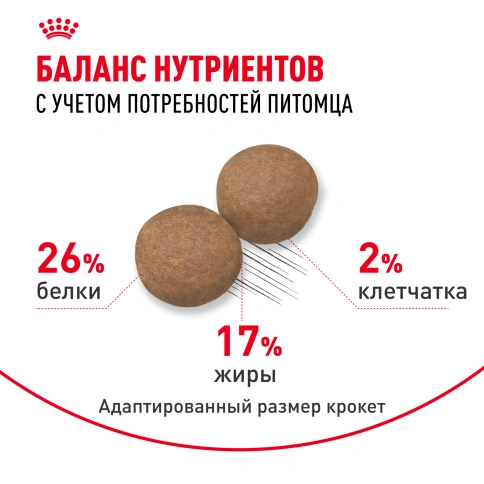 Сухой корм Royal Canin Maxi Adult для собак, 15 кг фото 4