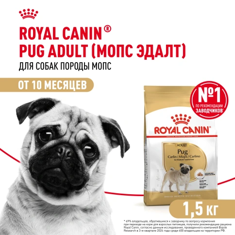 Сухой корм Royal Canin Pug Adult для взрослых собак, 1,5 кг фото 1