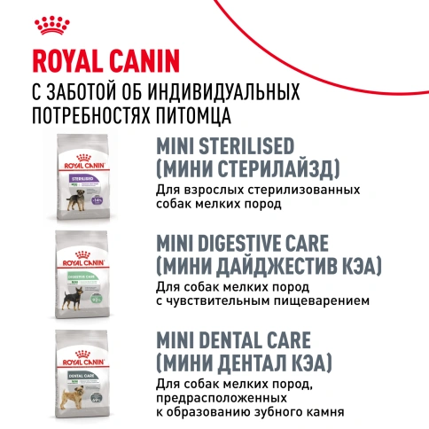 Сухой корм Royal Canin Poodle Adult для взрослых собак, 1,5 кг фото 9