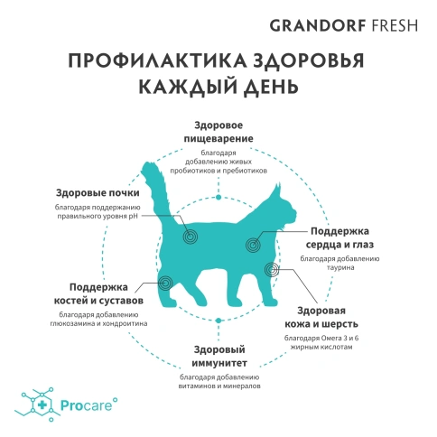 Сухой корм Grandorf Cat Lamb & Sweet Potato для взрослых кошек крупных пород, чувствительное пищеварение или склонность к аллергии ягненок, с бататом, 400 г фото 4