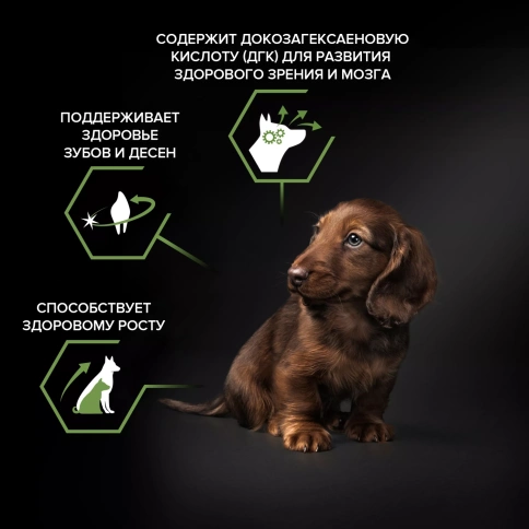Сухой корм PRO PLAN Chicken для щенков мелких и карликовых пород, с высоким содержанием курицы, 700 г фото 2