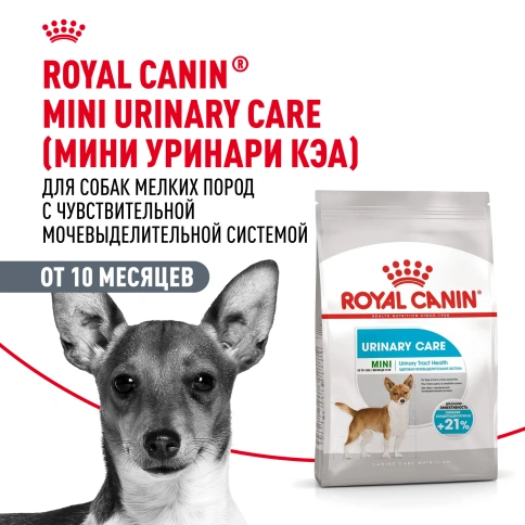 Сухой корм Royal Canin Mini Urinary Care для собак, 1 кг фото 15
